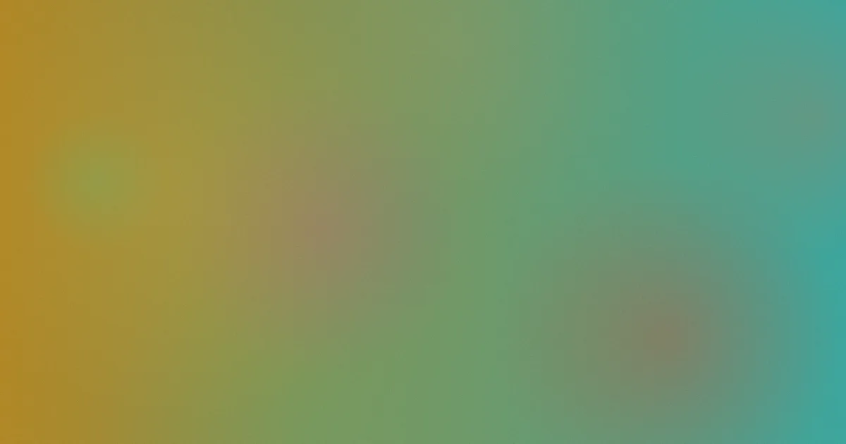聂小倩推荐：新手对比选法